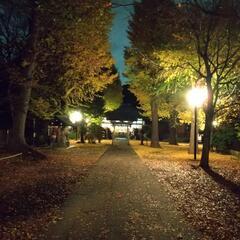12/5(日)昼過ぎ～散歩とカメラ！旧古河庭園＋α - 北区