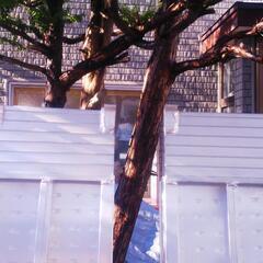 (  取引中  )アルミブリッジ   歩み板の画像