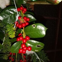 🎄クリスマススワッグ 完成品 再アレンジしてお正月まで使えるよ  ミニスワッグもありの画像