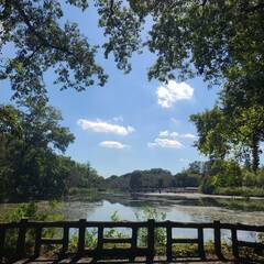 井の頭公園を一緒にお散歩しませんか？