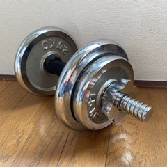 ダンベル　鉄アレイ　筋トレ用に　12.5kgの画像