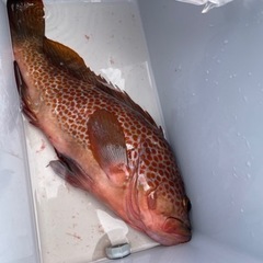釣り仲間募集　2人ぐらい - その他