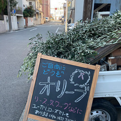 オリーブ　リースやスワッグにの画像