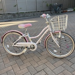 ブリヂストン ワイルドベリー 20インチ
