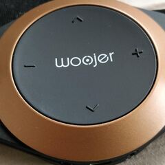 ウージャーエッジ Woojer Strap