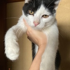 生後5ヶ月程の男の子