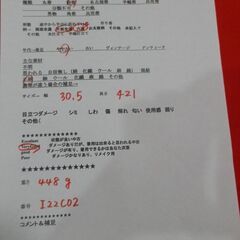 正絹　袋帯　片面全通　幅30.5　長さ421の画像