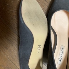 ダイアナパンプスの画像
