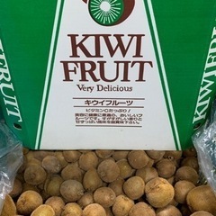 ☆和歌山県産キウイフルーツ小玉〜極小10kg【未完熟】☆
