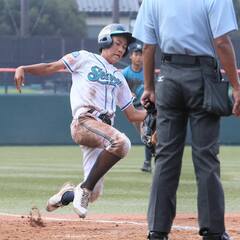 綾瀬ボーイズ●子供たちへのサポートいただける審判さん大募集 − 神奈川県