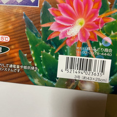 ピタリ適温プラス　3号　新古品未開封の画像
