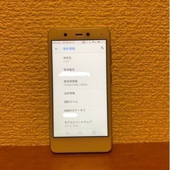 楽天ミニ