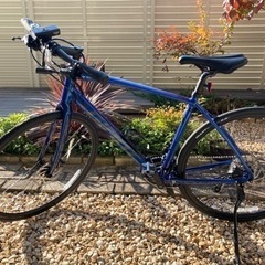 ジャイアントエスケープrxディスク 極上車の画像