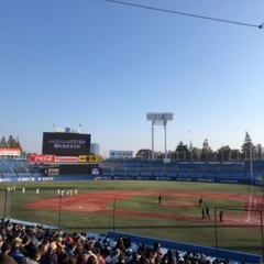 明日12/5（日）ヤクルトスワローズファン感謝祭、同行者募集‼️