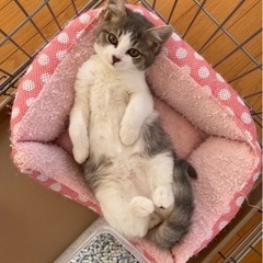 2匹一緒にお願いします
