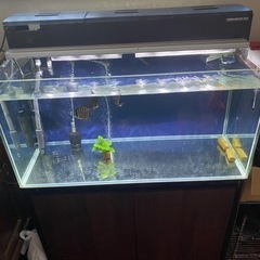90cm水槽セットの画像