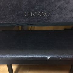 CASIO CELVIANO AP-50の画像
