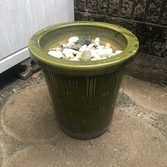 （決定しました）鉢植え