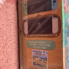 Nintendo Switch あつまれどうぶつの森セットの画像