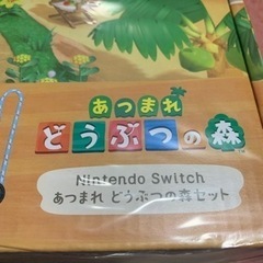 Nintendo Switch あつまれどうぶつの森セットの画像
