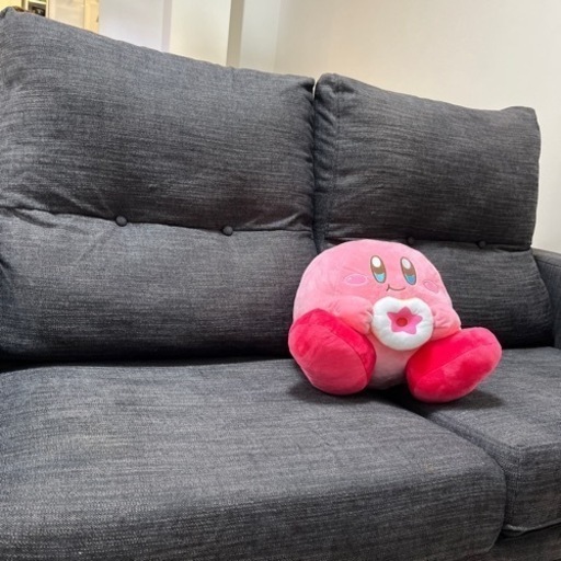 カバー洗濯可！10万で購入　美品　ダークグレー
