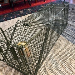 害獣駆除の画像