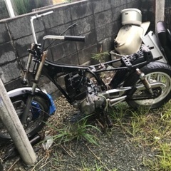 cm250