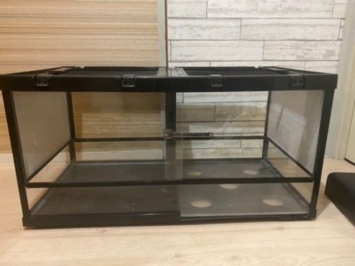 爬虫類　ゲージ　900サイズ