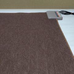 決まりましたホットカ－ペット