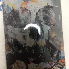 ALLIAN PRISM LTD 152cmの画像