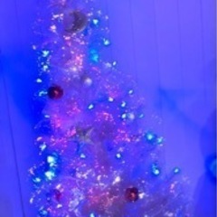 クリスマスツリーの画像