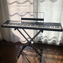 アレシスの電子ピアノ🎹