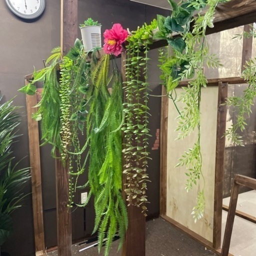 観葉植物　その他装飾品　100点以上