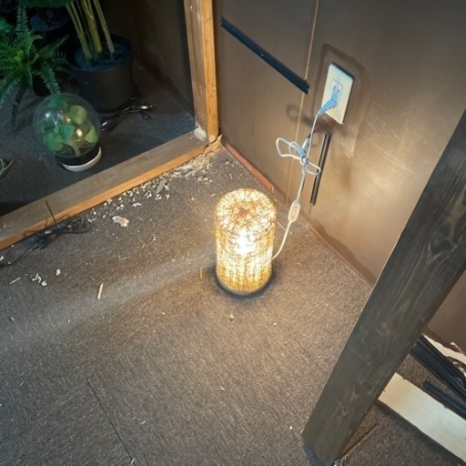 観葉植物　その他装飾品　100点以上