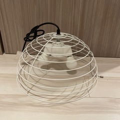 LEDライト 照明 ホワイト 電球付き