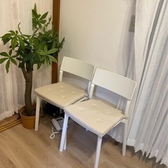 さらに値下げしました❗️IKEA イス 2脚セット★座布団付き！