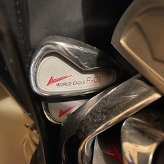 ワールドイーグル　F-01の画像