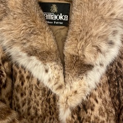 アニマル毛皮　本物の画像