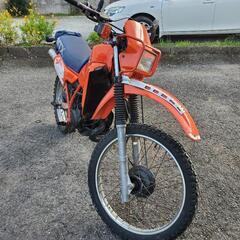 MTX125R!の画像