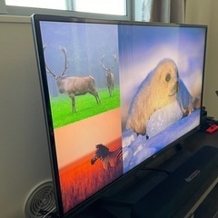 LG 43インチ IPS 4K液晶テレビ