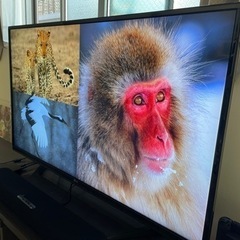 LG 43インチ IPS 4K液晶テレビ