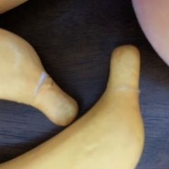 フェイクフルーツの画像