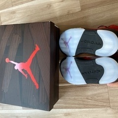 28cm NIKE AJ5 ナイキ エア ジョーダン レーシングブル トロブラボーの画像