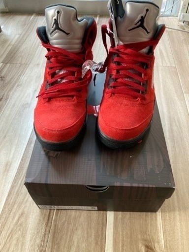 28cm NIKE AJ5 ナイキ エア ジョーダン レーシングブル トロブラボー