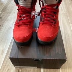 28cm NIKE AJ5 ナイキ エア ジョーダン レーシングブル トロブラボーの画像
