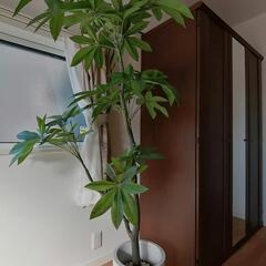 造花