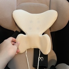 ベビー・チャイルドシート【予定者打ち合わせ中】の画像