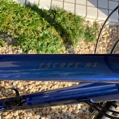ジャイアントエスケープrxディスク 極上車の画像