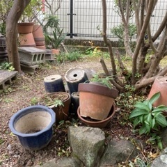 植木鉢