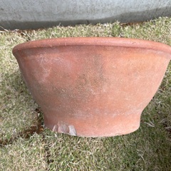ご成約　植木鉢　Aセットの画像
